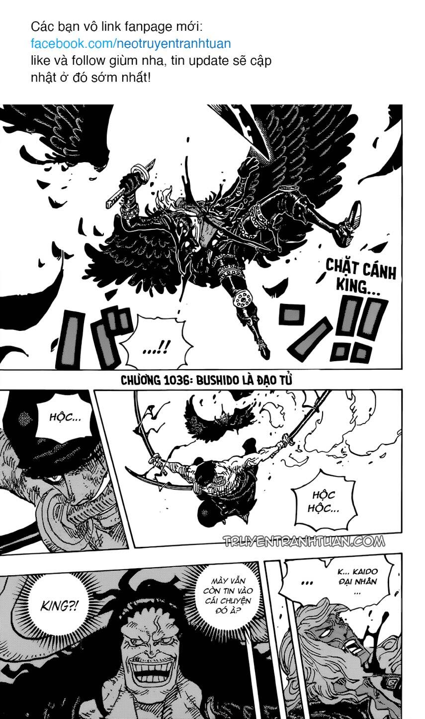 One Piece Tập 1036 trang 3
