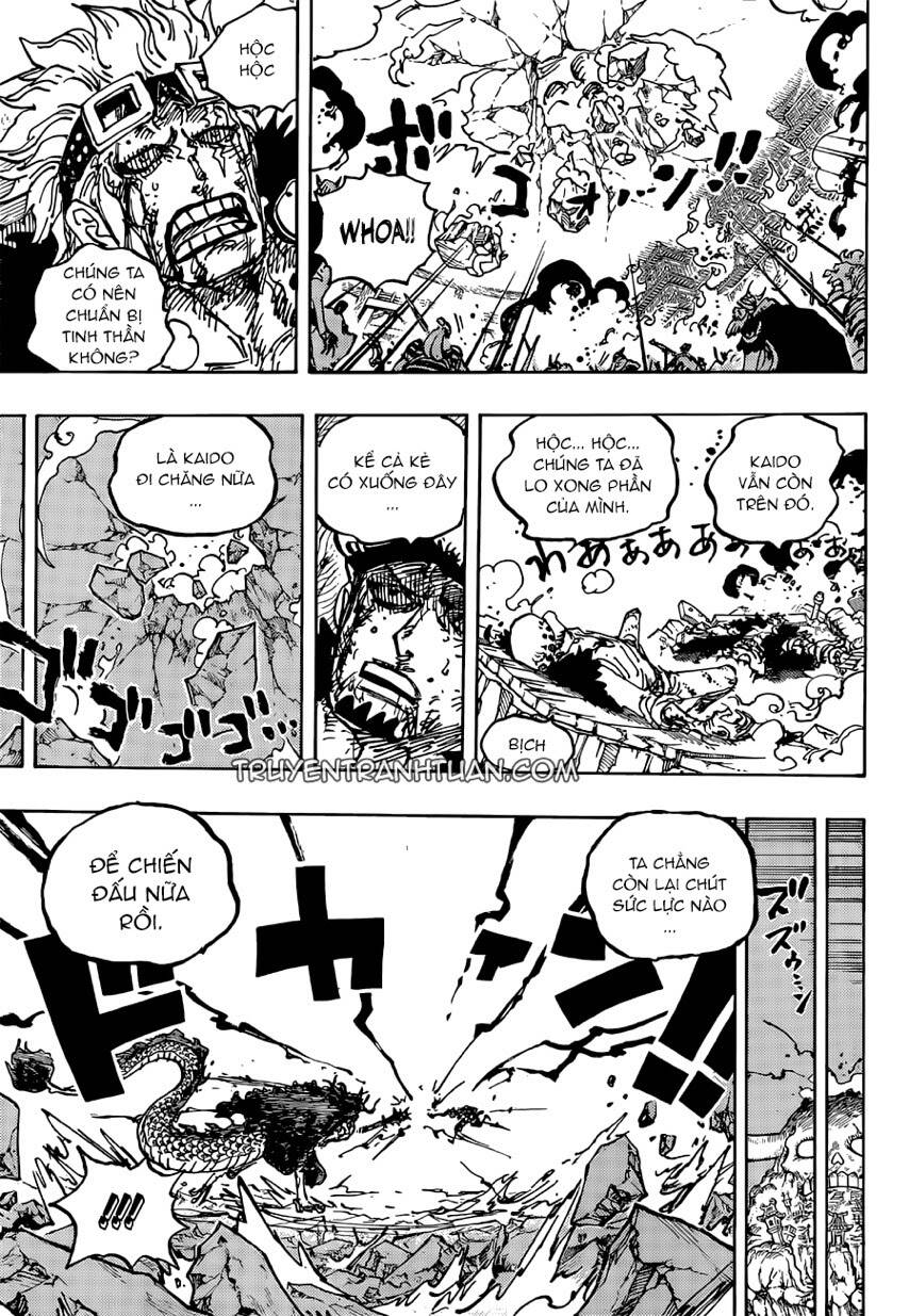 One Piece Tập 1041 trang 14