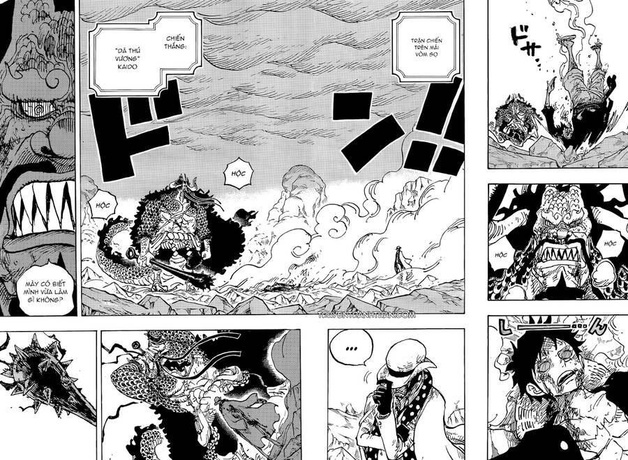 One Piece Tập 1043 trang 5