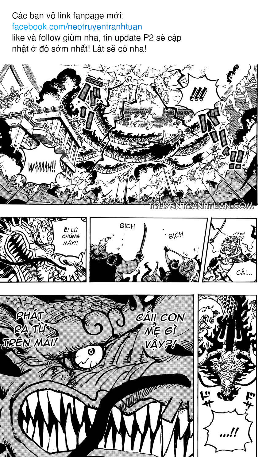 One Piece Tập 1044 trang 11