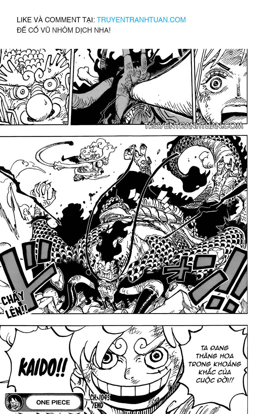 One Piece Tập 1045 trang 18