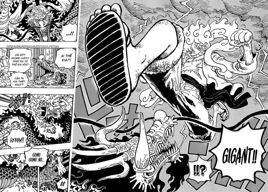 One Piece Tập 1045 trang 8