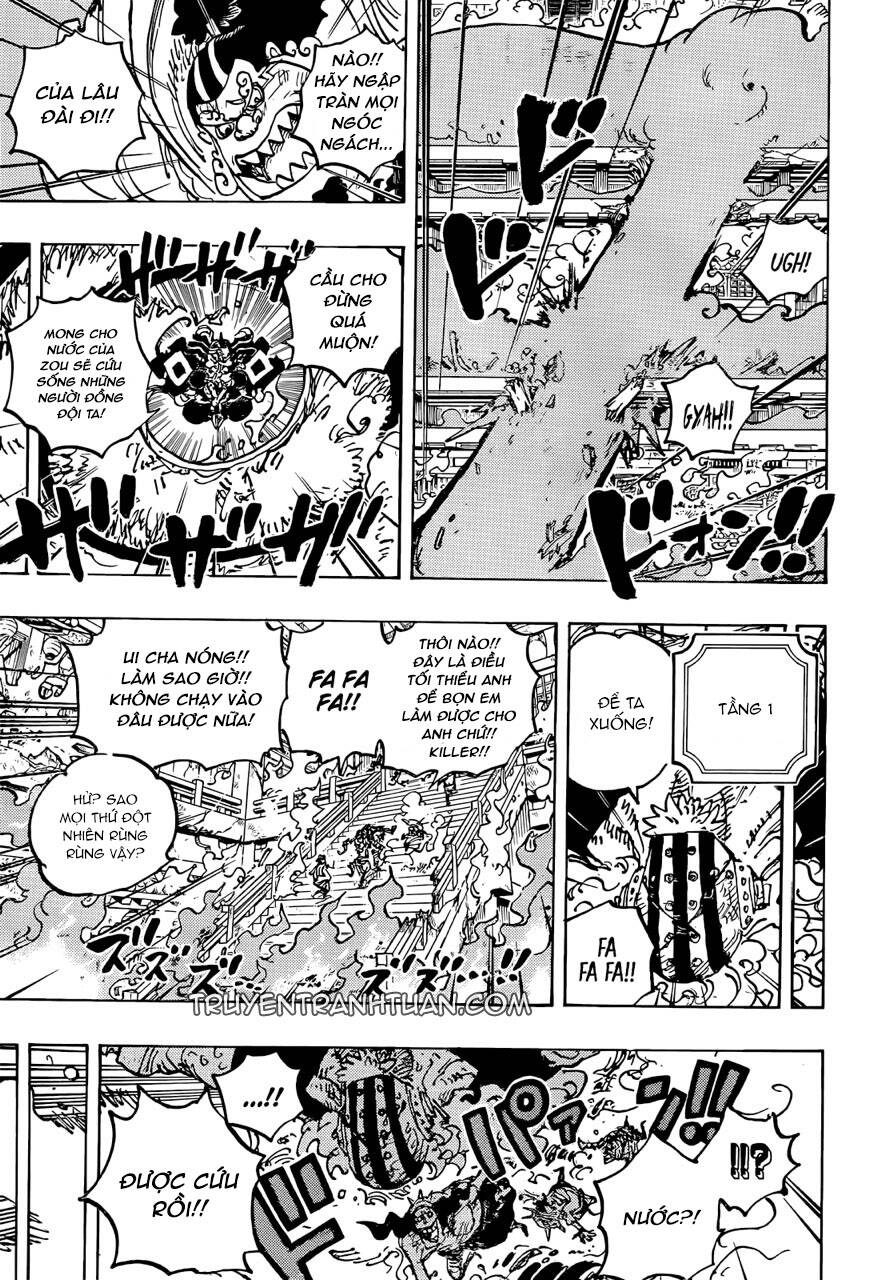 One Piece Tập 1046 trang 14