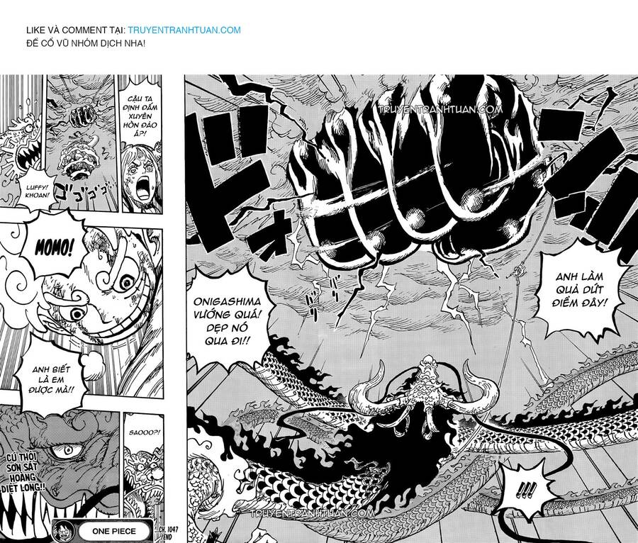 One Piece Tập 1047 trang 18