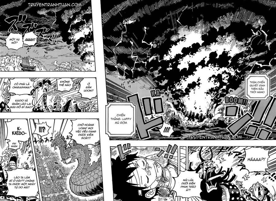 One Piece Tập 1050 trang 13