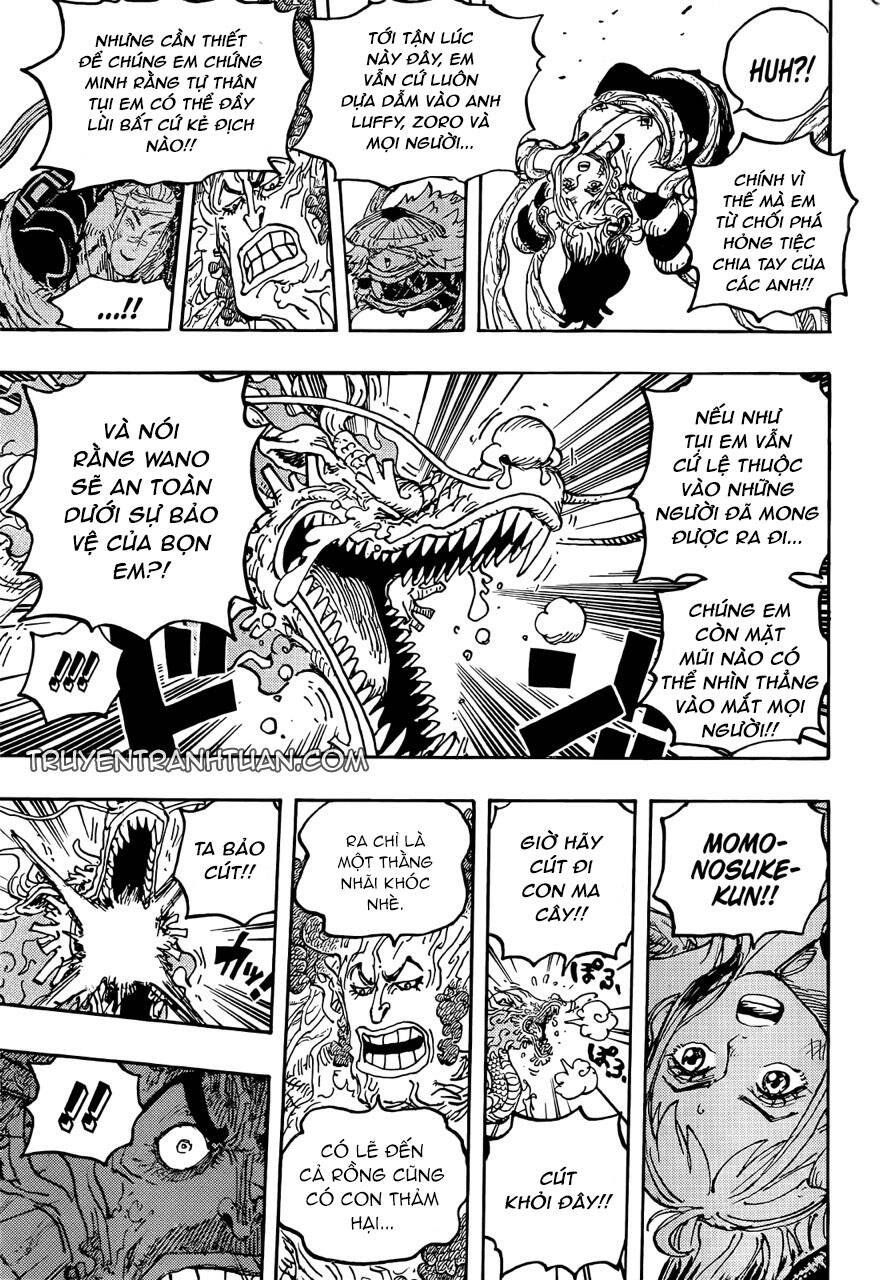 One Piece Tập 1055 trang 14