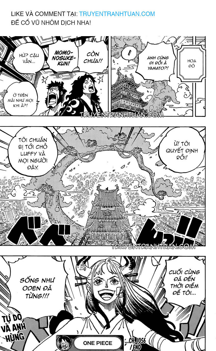 One Piece Tập 1056 trang 19