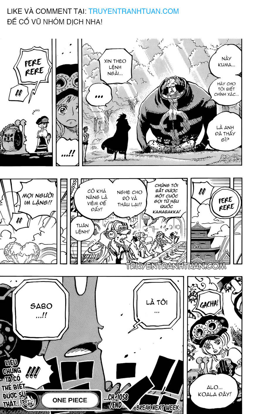 One Piece Tập 1058 trang 17