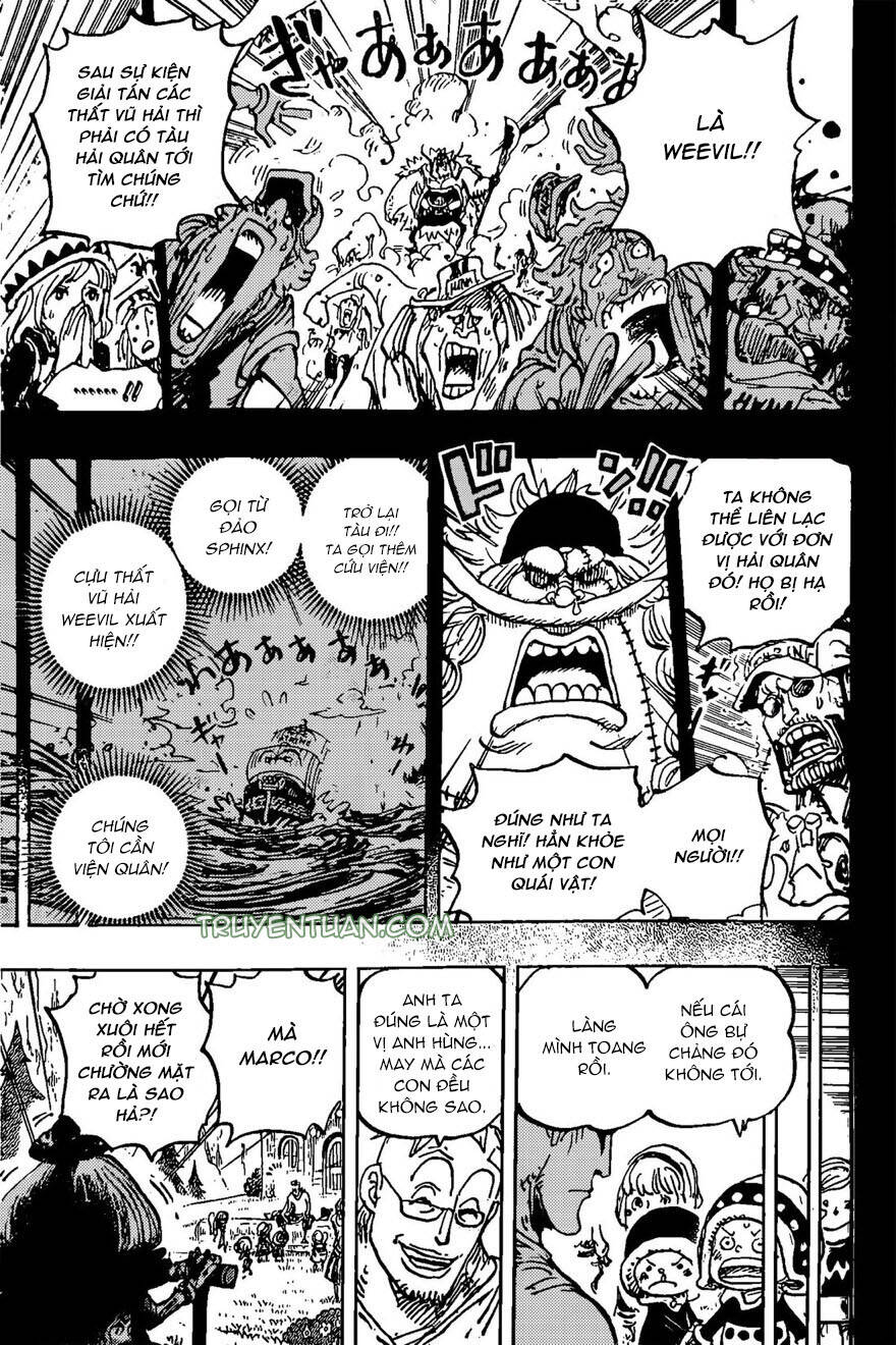 One Piece Tập 1073 trang 14