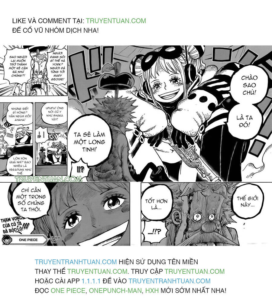 One Piece Tập 1078 trang 15