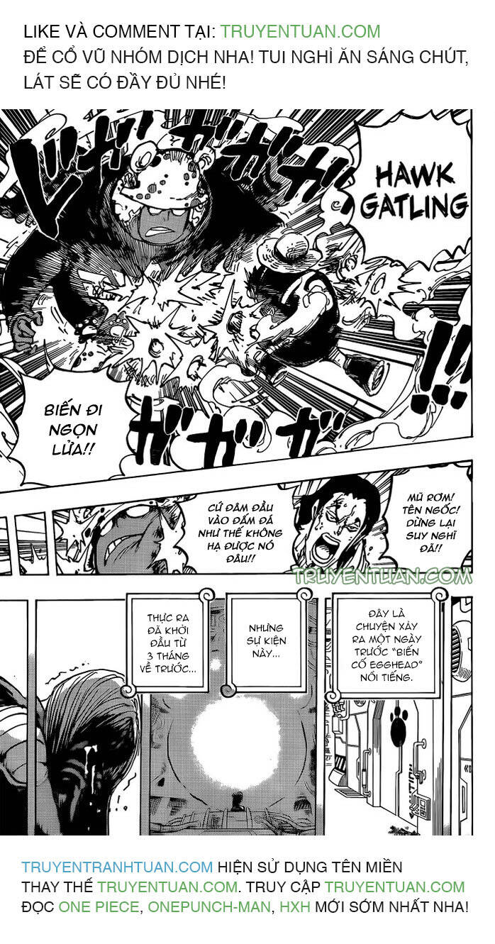 One Piece Tập 1078 trang 10