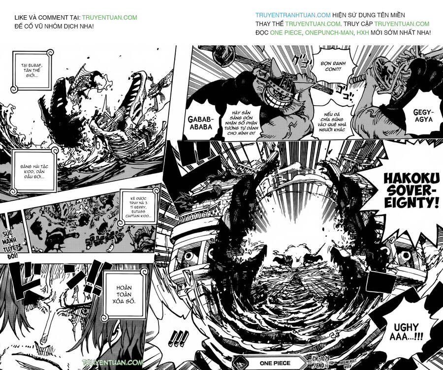 One Piece Tập 1079 trang 13