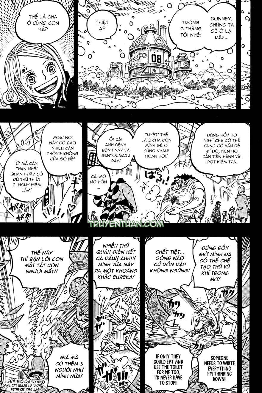 One Piece Tập 1100 trang 10