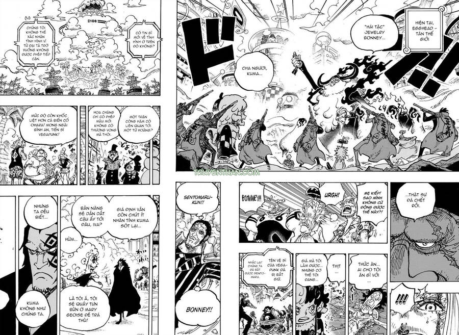 One Piece Tập 1103 trang 8
