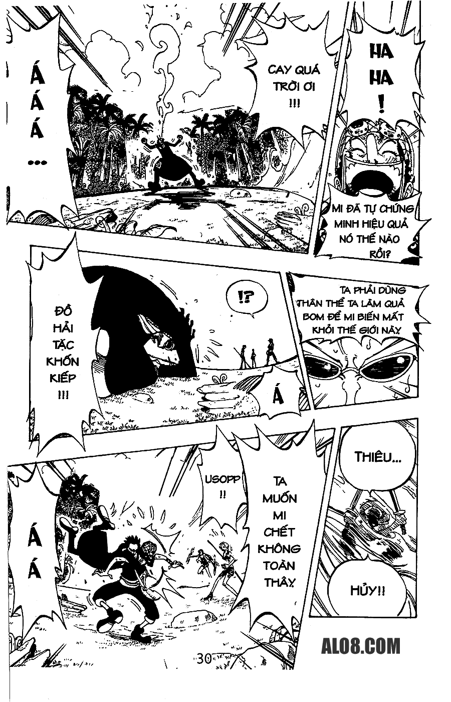 One Piece Tập 126 trang 12