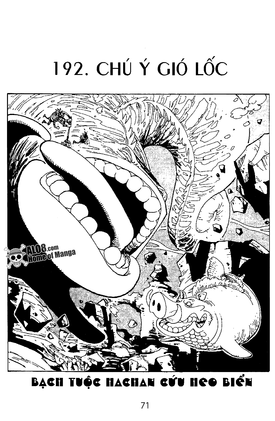 One Piece Tập 192 trang 2