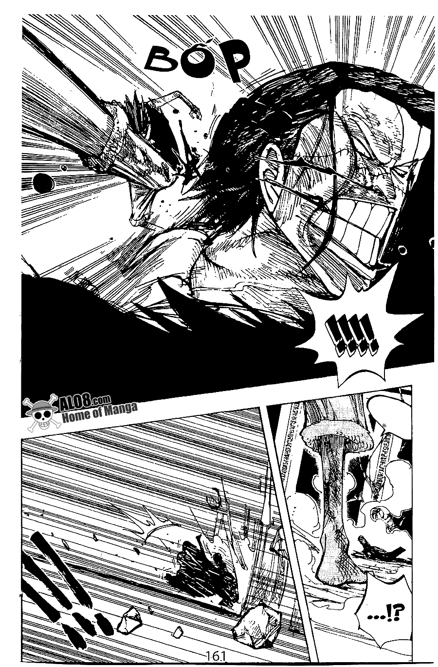 One Piece Tập 204 trang 12