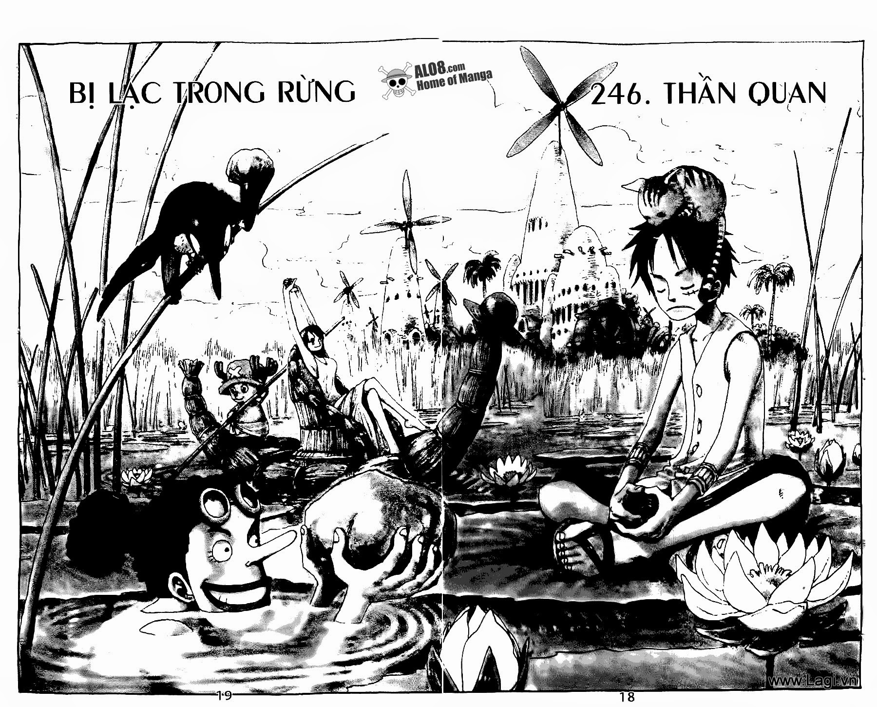 One Piece Tập 246 trang 2