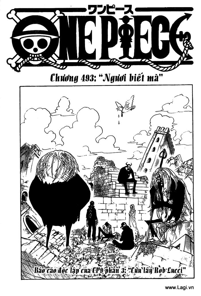 One Piece Tập 493 trang 2