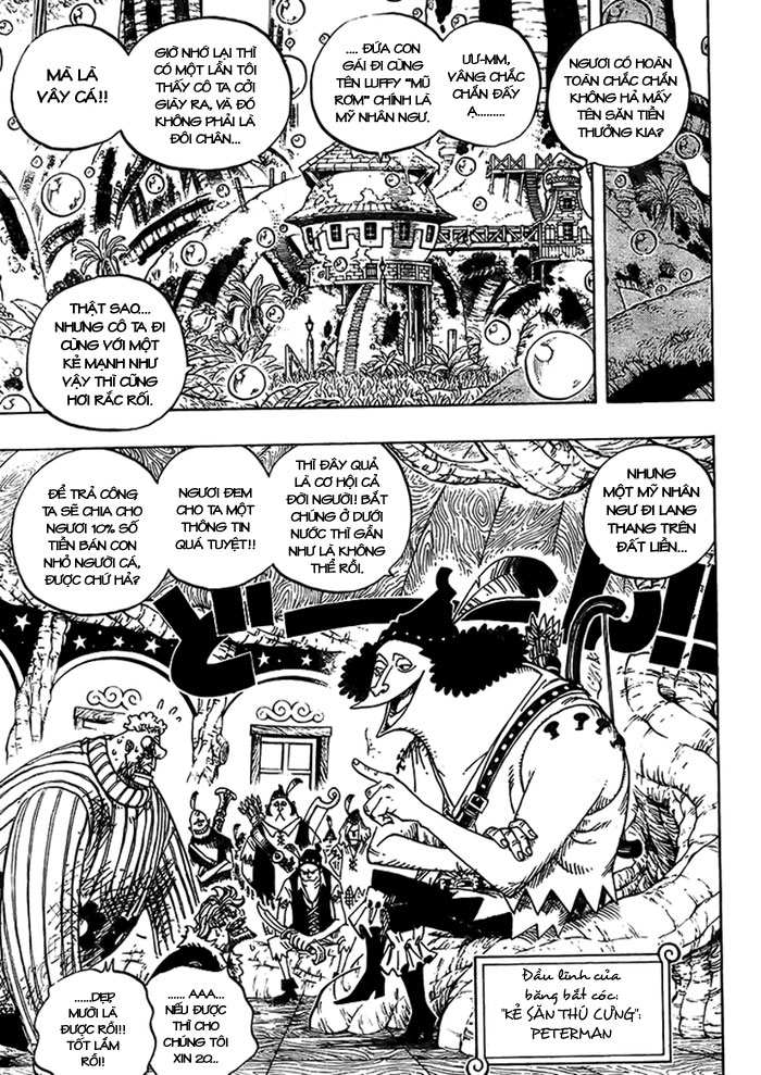 One Piece Tập 499 trang 4
