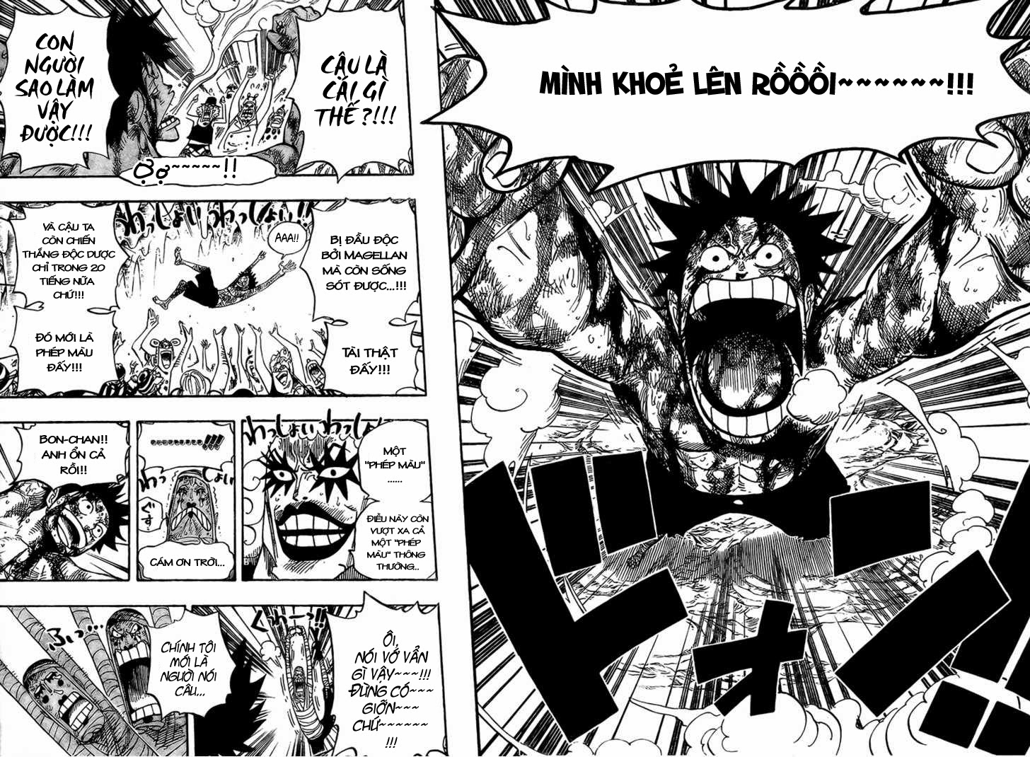 One Piece Tập 539 trang 5
