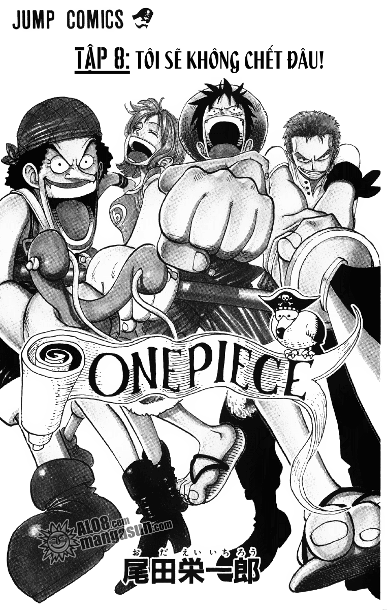 One Piece Tập 63 trang 6