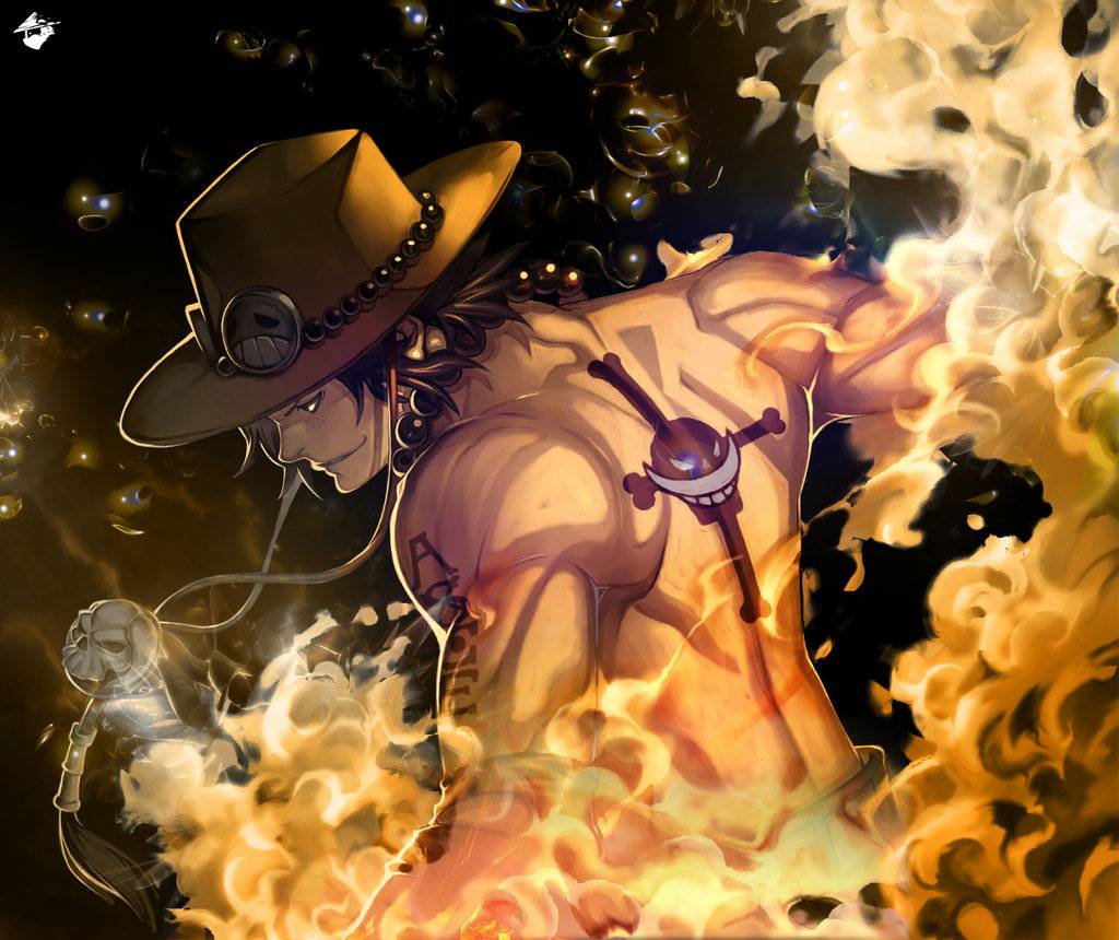 One Piece Tập 702 trang 2