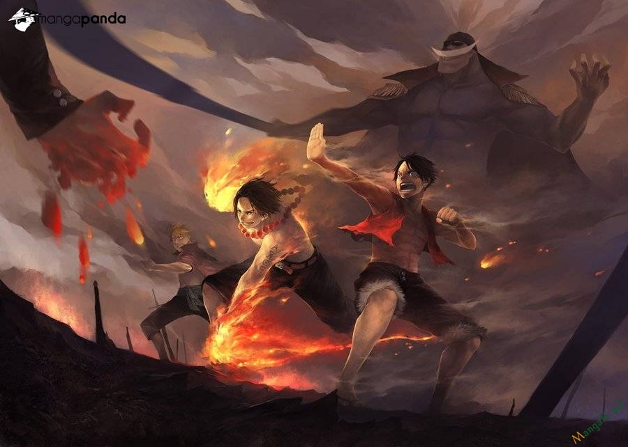 One Piece Tập 708 trang 3