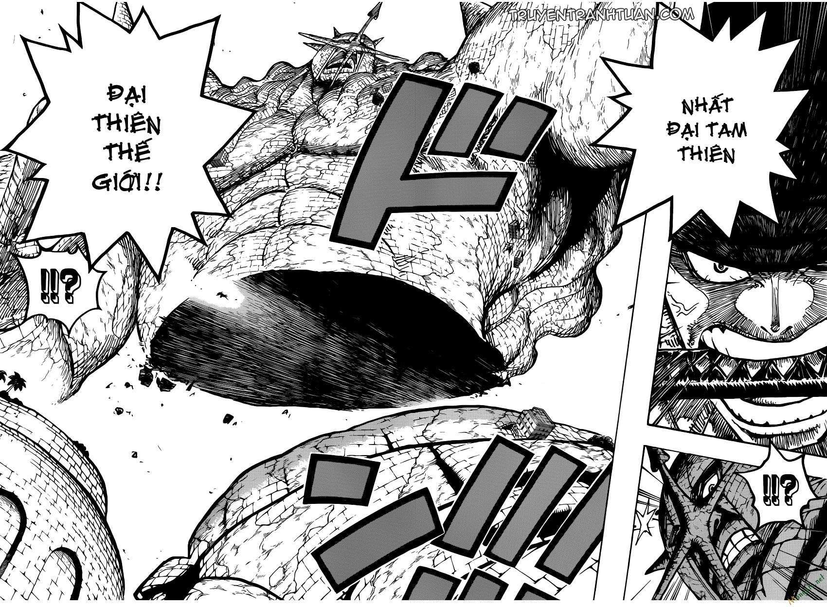 One Piece Tập 778 trang 10