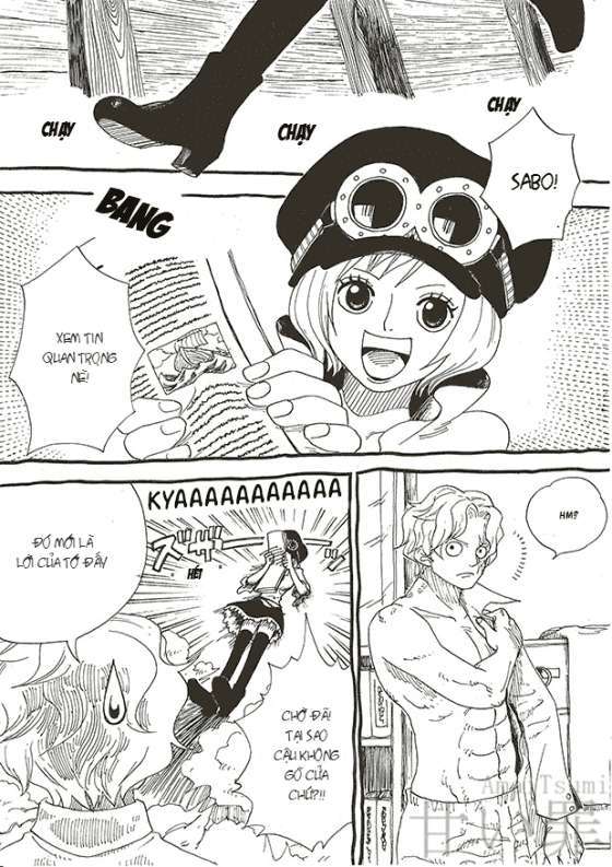 One Piece Tập 794.5 trang 1