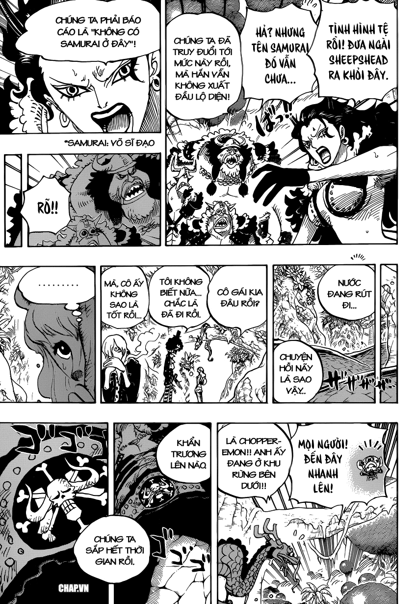 One Piece Tập 795 trang 10