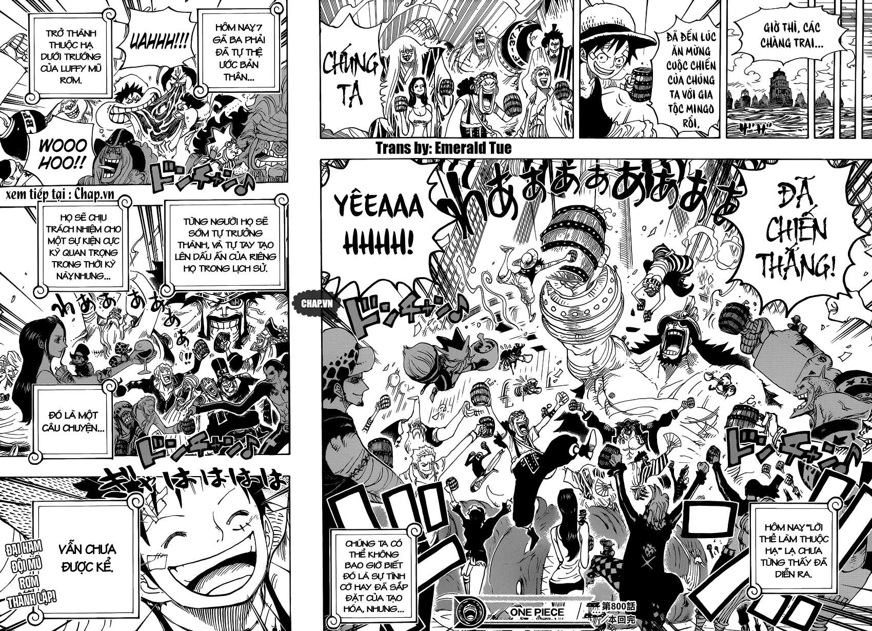 One Piece Tập 800 trang 14