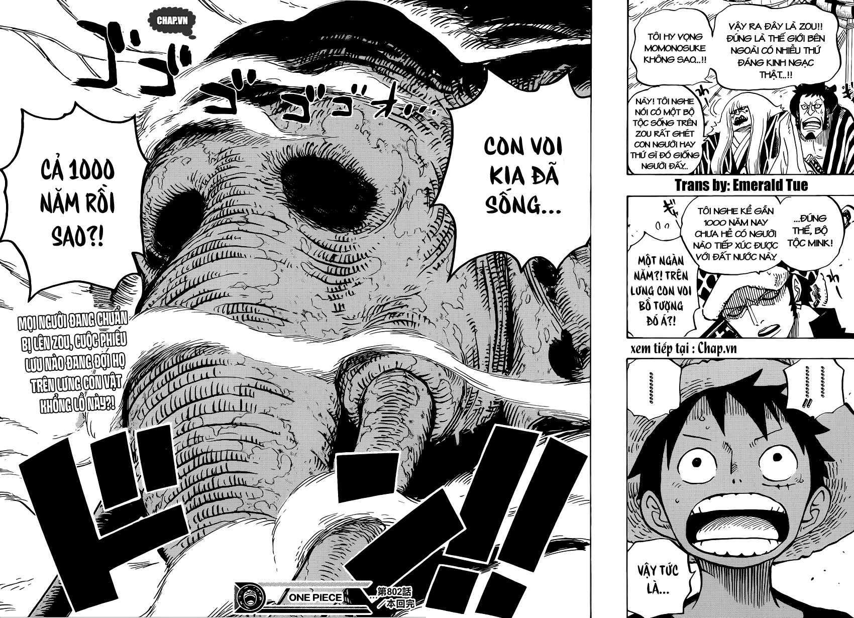 One Piece Tập 802 trang 16