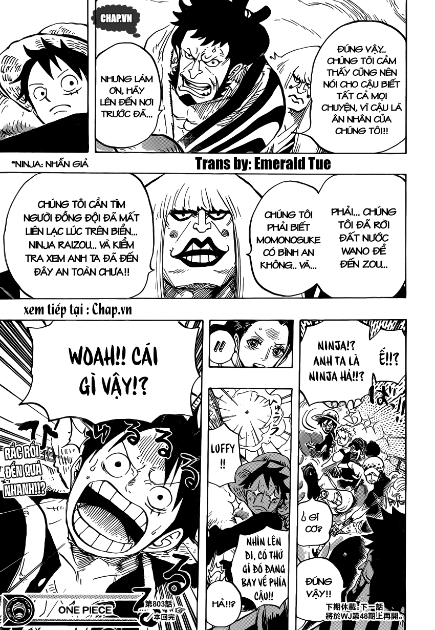 One Piece Tập 803 trang 14