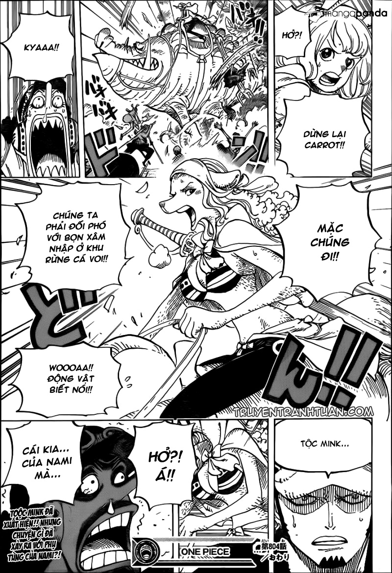 One Piece Tập 804 trang 17