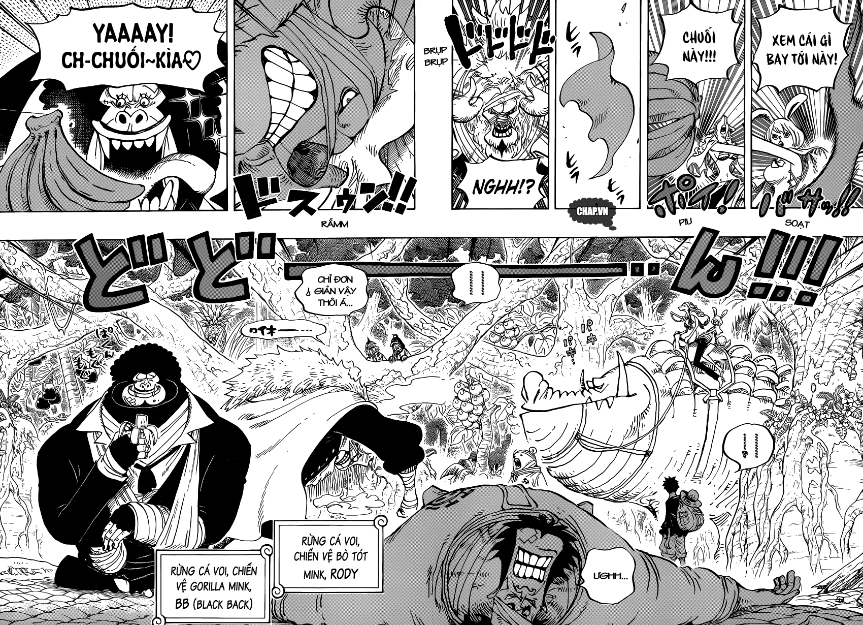 One Piece Tập 805 trang 11