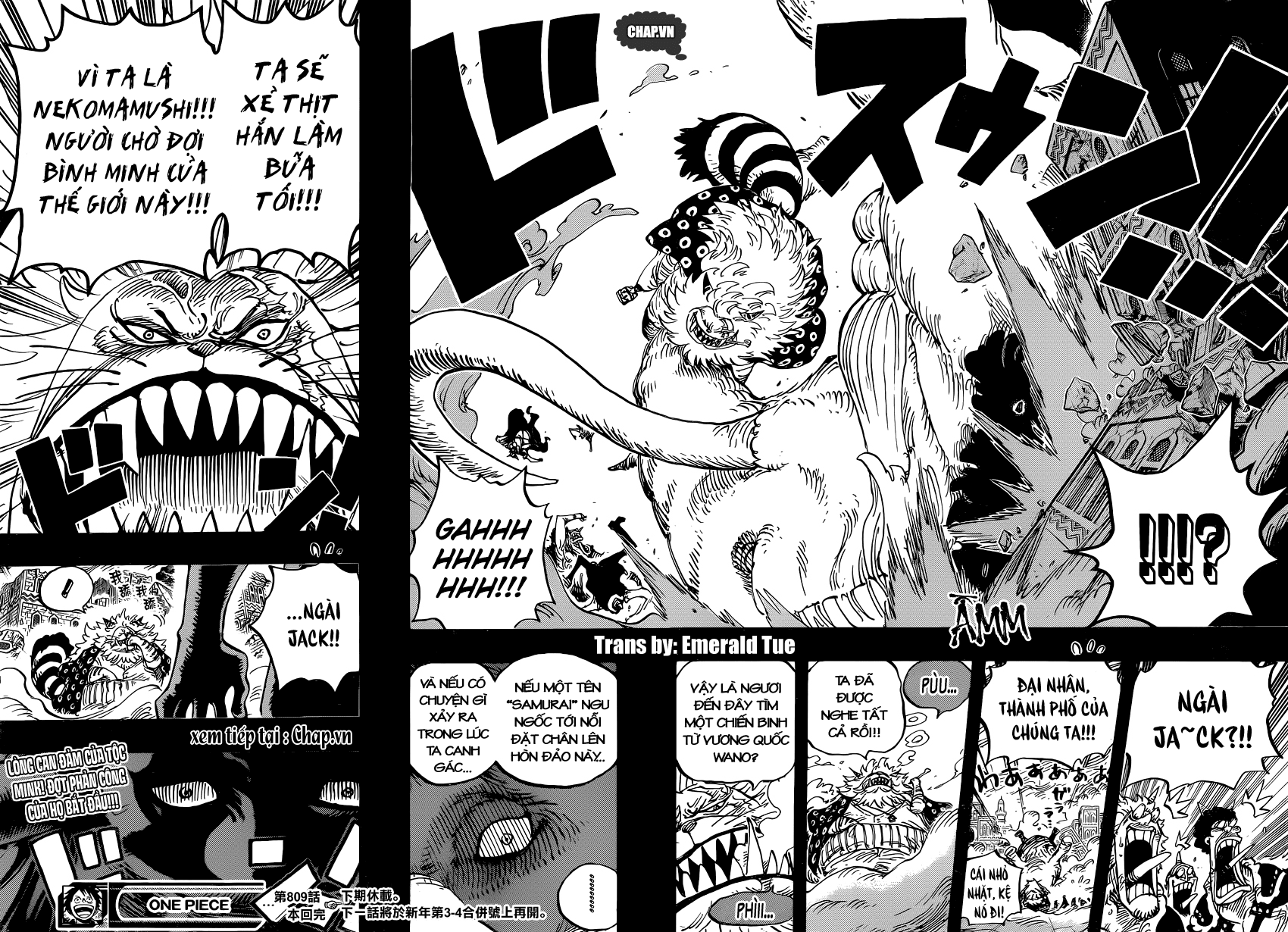 One Piece Tập 809 trang 17