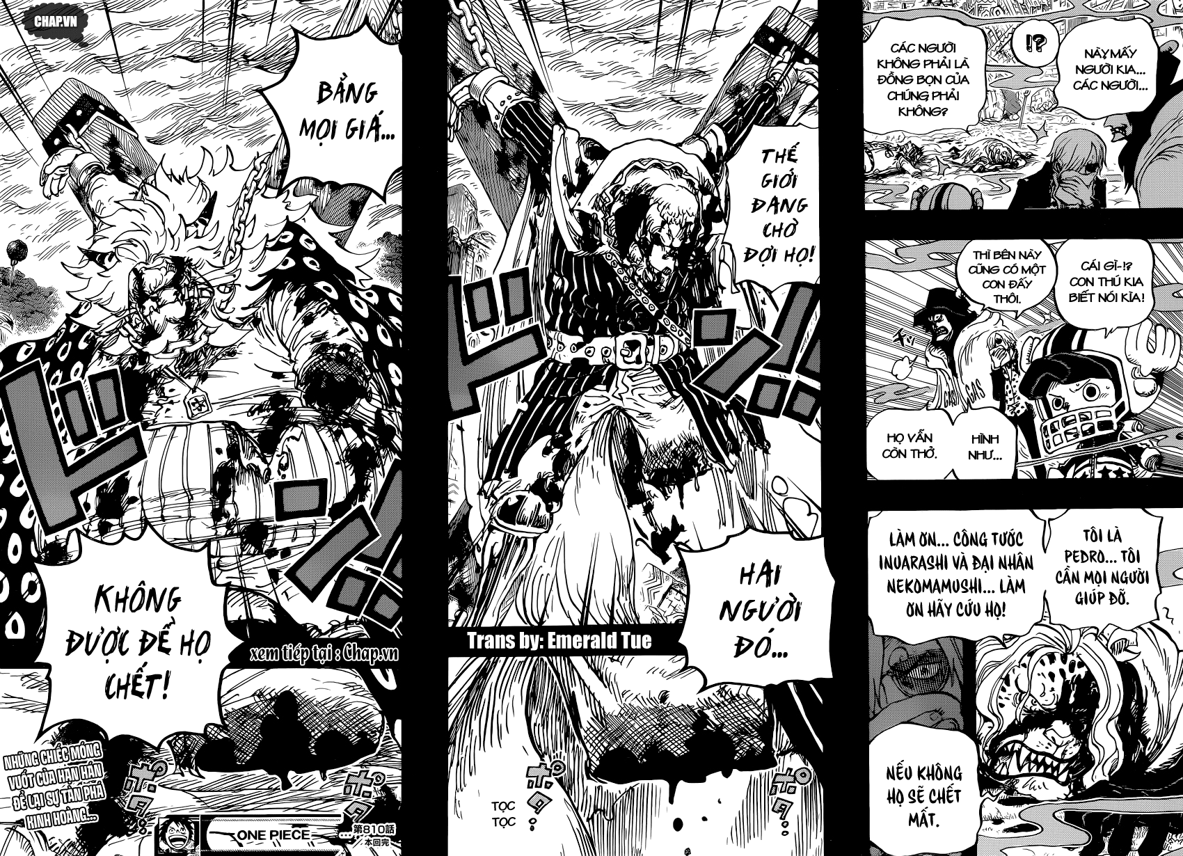 One Piece Tập 810 trang 17