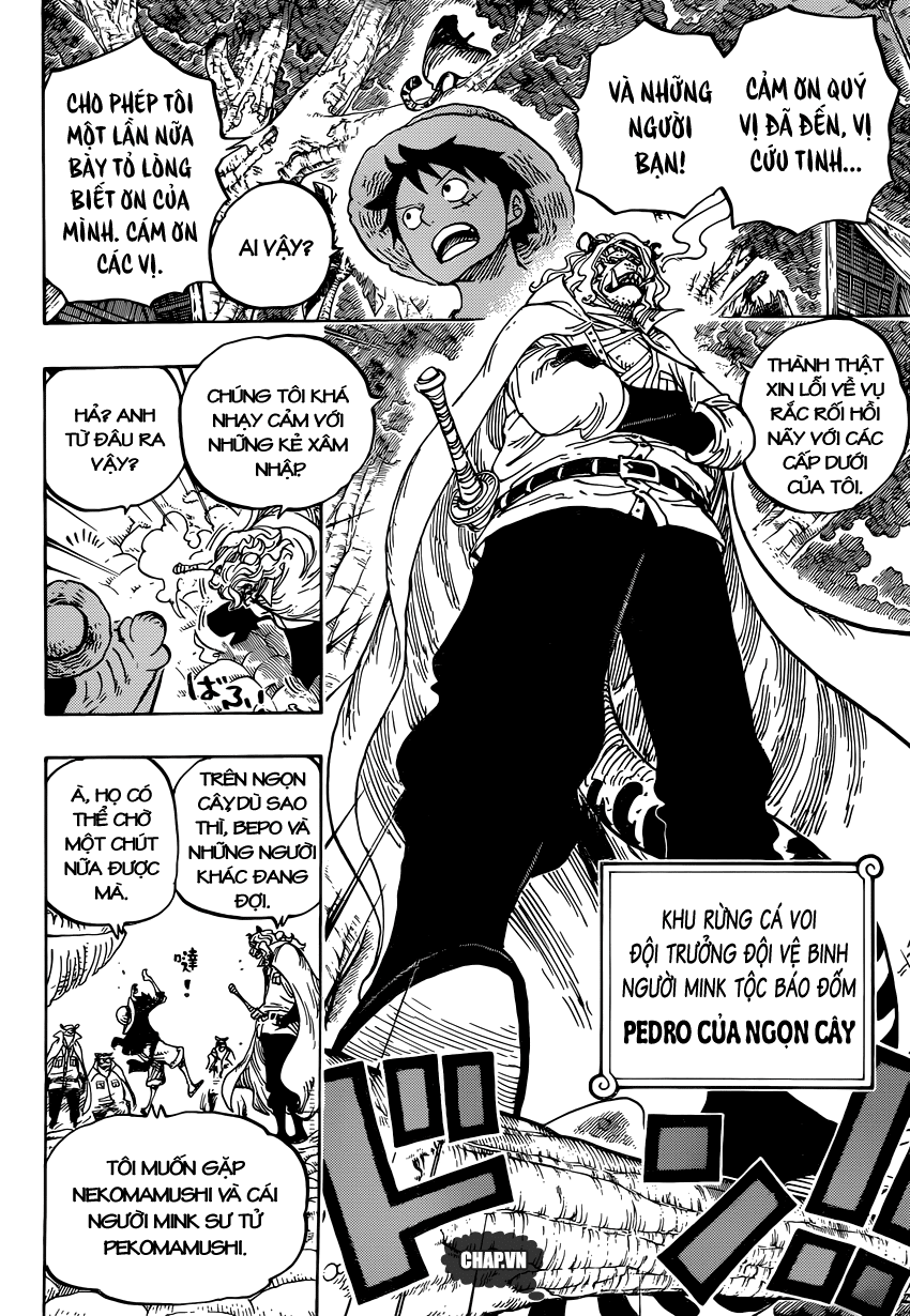 One Piece Tập 814 trang 12