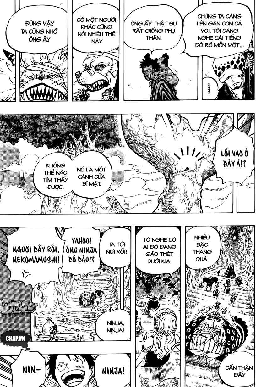 One Piece Tập 817 trang 14