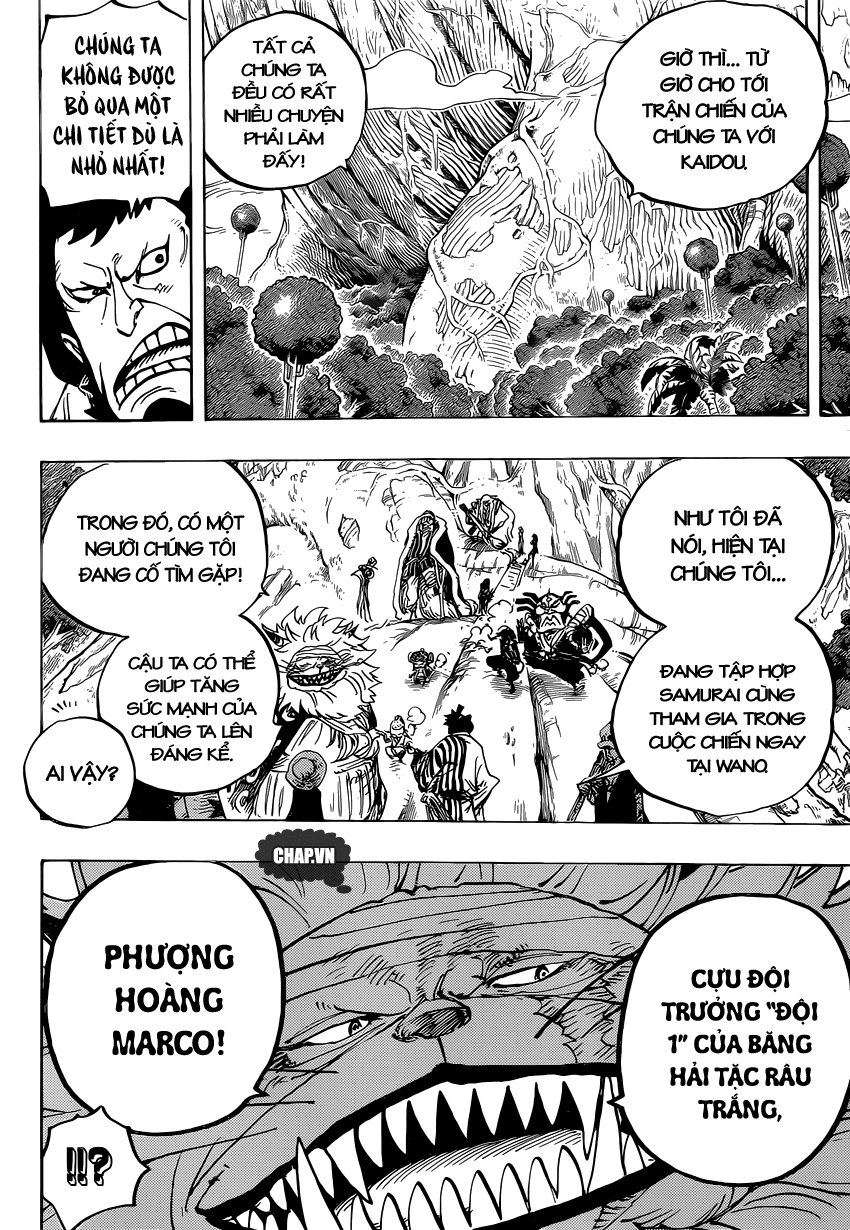 One Piece Tập 820 trang 11
