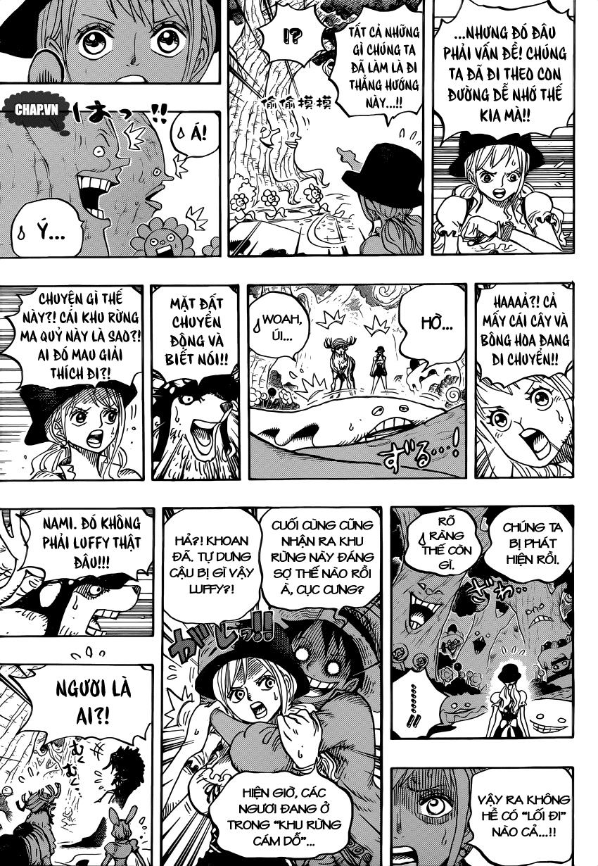 One Piece Tập 832 trang 12