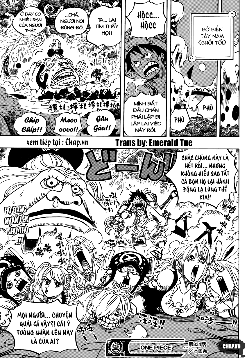 One Piece Tập 834 trang 18