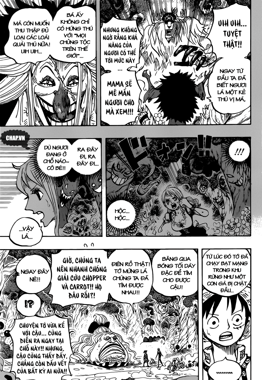 One Piece Tập 835 trang 14