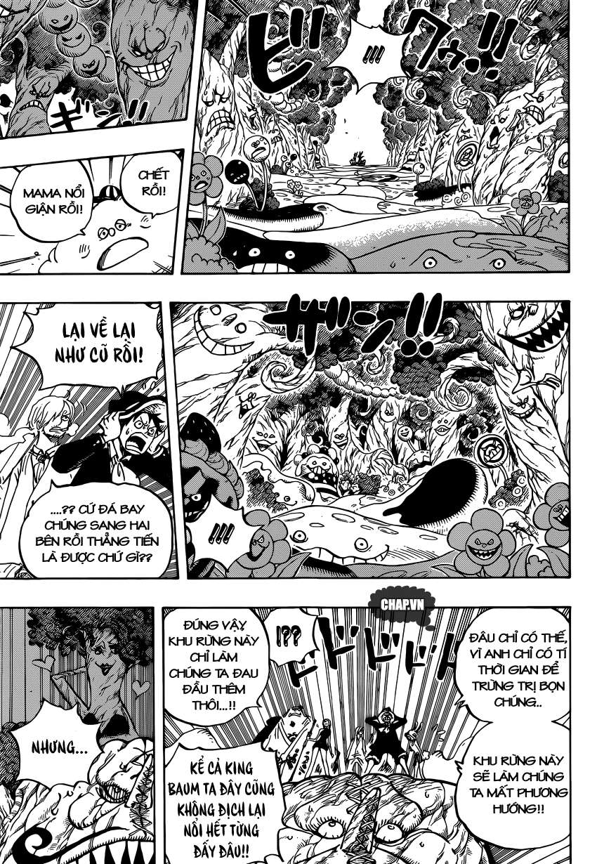 One Piece Tập 874 trang 12