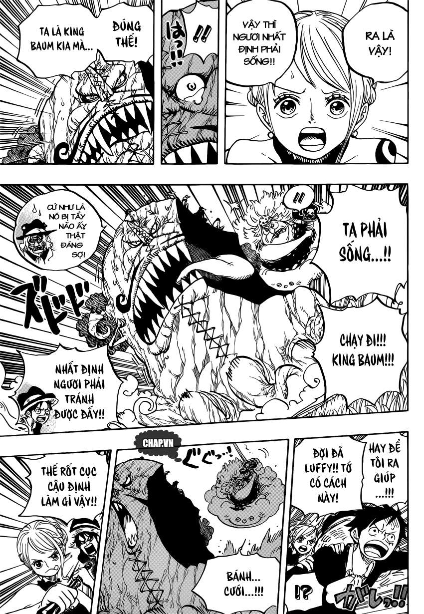 One Piece Tập 874 trang 6