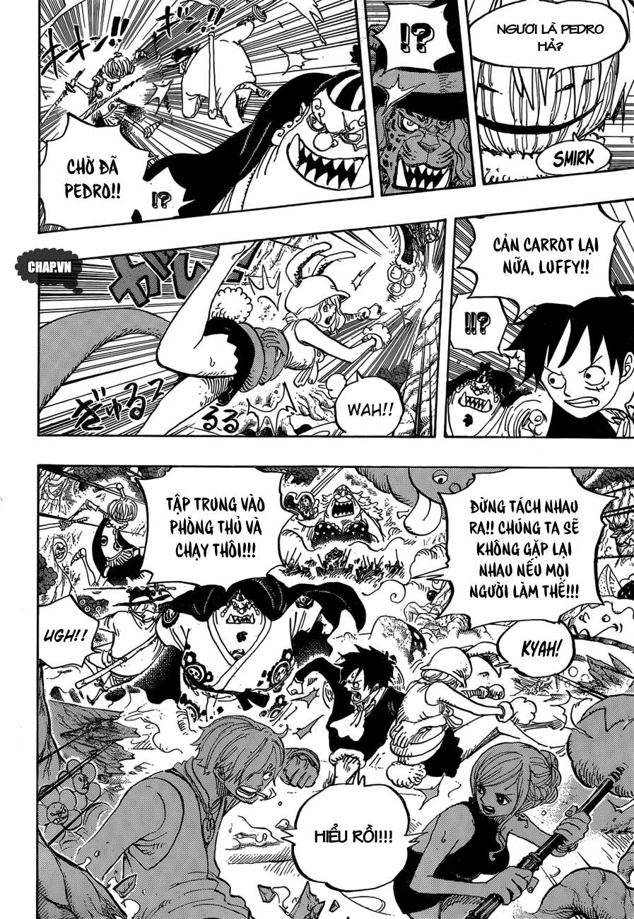 One Piece Tập 875 trang 11