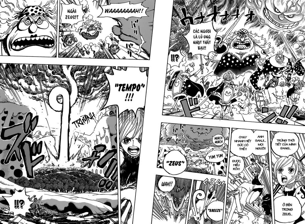 One Piece Tập 875 trang 13