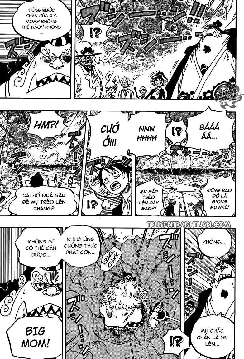 One Piece Tập 876 trang 6