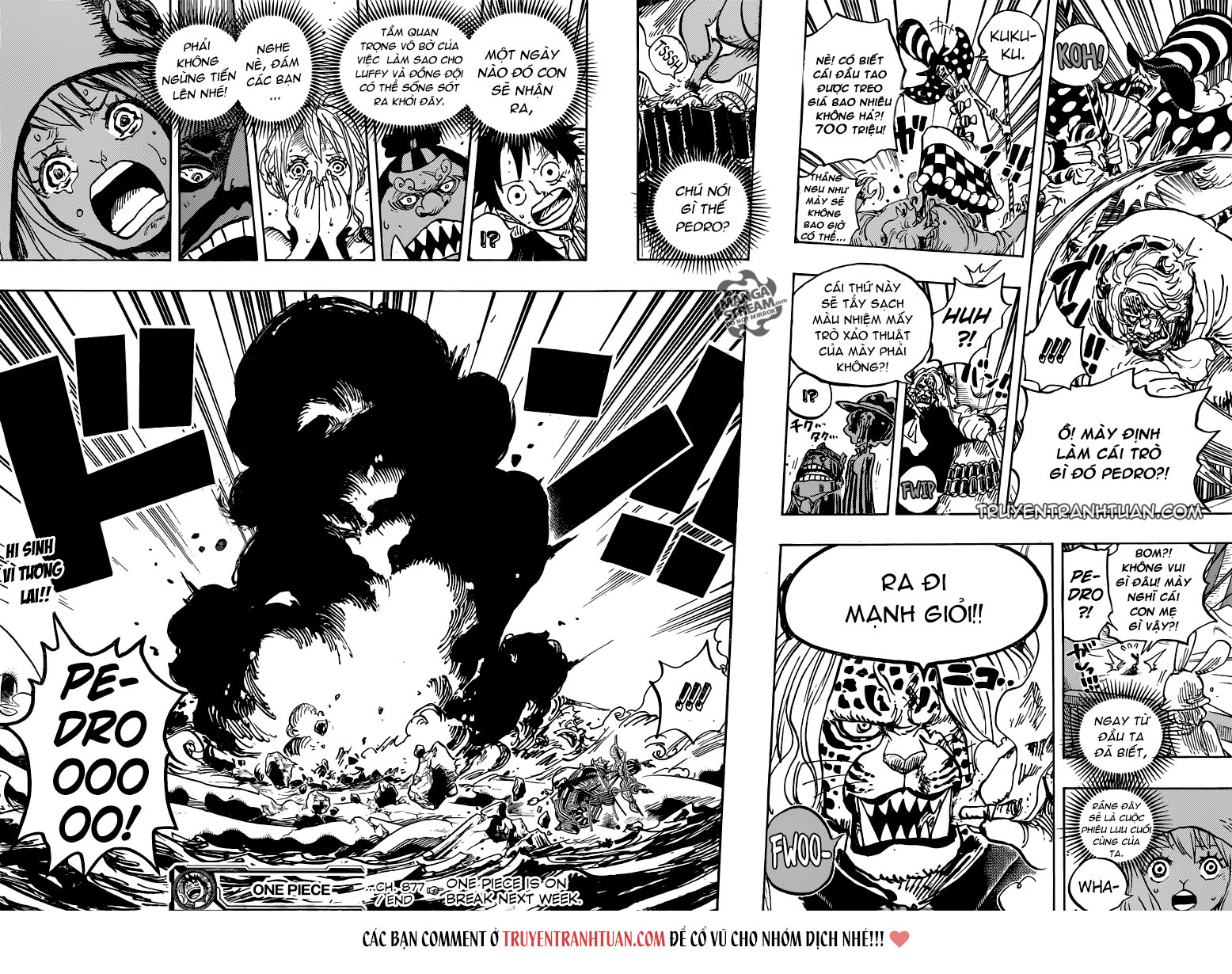 One Piece Tập 877 trang 17